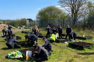 Secondary school pupils outdoors in the sun planting into several raised beds