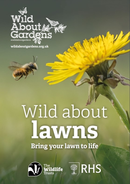 Wild About Lawns guide cover
