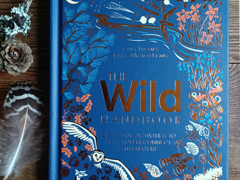 Cover of book 'The Wild Handbook'