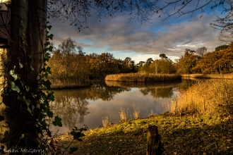 SpinniesAberogwen Nature Reserve