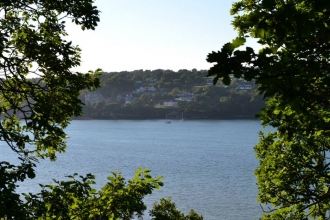 A view across the Menai Straits towards Anglesey, with blue sea, a pale sky, and houses on the opposite shore. All framed by a pair of large trees close to the camera.