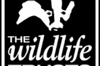 The Wildlife Trusts