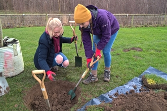 CCC - tree planting