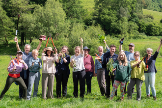 Balsam bashing 