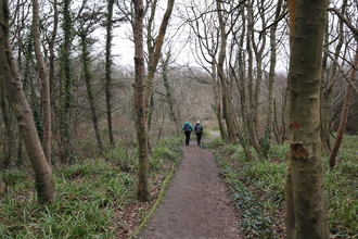 A path leading away through woodland, with 2 people in waterproofs and hats walking in the distance. The trees are thin and bare in winter, but some are coated in Ivy giving the illusion of leaves.