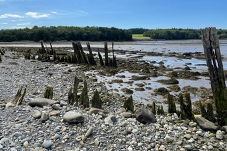 A photo of the wooden beams found on the shoreline of the Spinnies Aberogwen Nature Reserve