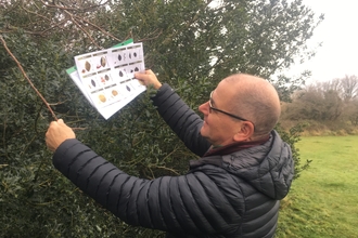 A man standing in front of a tree, holding a branch in one hand to look at the tip, and an identification guide in the other to compare..