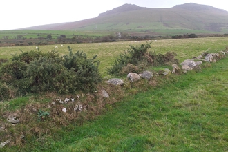 Bryn Ifan field boundary with views of Bwlch Mawr