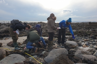 Sophia pointing to quadrat for newcomers to Shoresearch surveys, Cricieth - NWWT