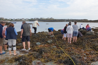 Have-a-go session with the Blue Tits swimming group, Trearddur bay.