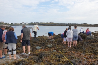 Around a dozen people on a rocky beach covered in seaweeds. They are using tape measures and quadrat grid squares to survey the area. Behind them is a calm sea inlet, with more rocky shoreline opposite.