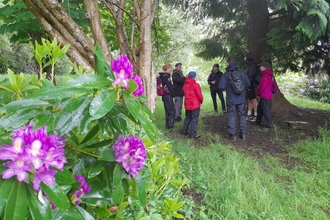 Wildlife & folklore walk cynwyd 