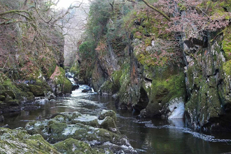 Fairy Glen