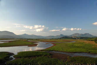 A wetland with a larger river and many small streams meandering through grassy fields. On the horizon a mountain range with clouds hanging low to it, then clear deep blue skies above.