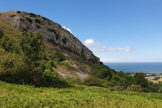 Craig y Forwyn limestone grassland with blue sky and sea stretching to the horizon