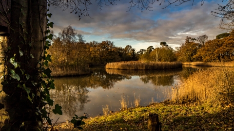 SpinniesAberogwen Nature Reserve