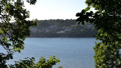 A view across the Menai Straits towards Anglesey, with blue sea, a pale sky, and houses on the opposite shore. All framed by a pair of large trees close to the camera.