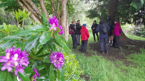 Wildlife & folklore walk cynwyd 