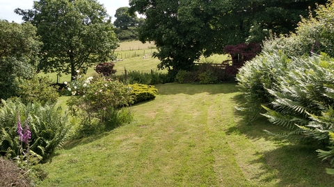 A garden with a grassy lawn between beds of large shrubs and flowering plants. The bottom of the garden is bordered by fencing and trees, with a view through the gaps to fields behind.