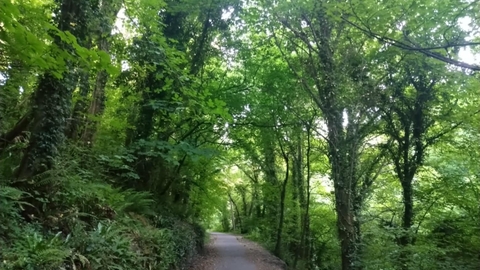 Afon Cegin footpath 