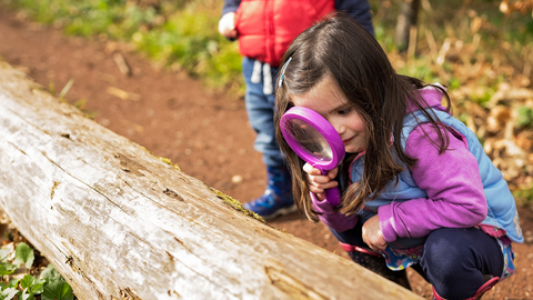A young girl wearing pink and purple, crouching down to look through a large pink magnifying glass at a big log with moss on it. A second child is out of focus stood behind her.