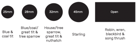 Bird box entrance hole sizes