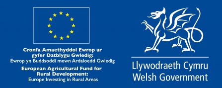 European Agricultural Fund for Rural Development