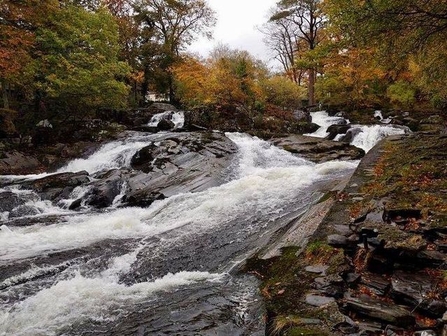 Emily Davies, Ogwen Valley