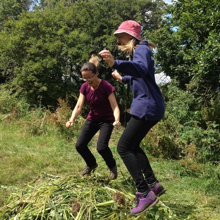 Volunteers 'balsam bouncing'