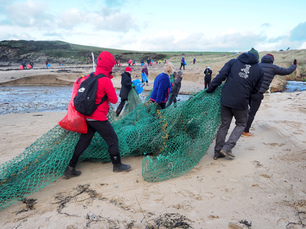 A group of 7 people hauling a washed up fishing net off a beach. In the background many more people can be seen litter picking during a very large beach clean at plastoff 2022