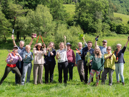 Balsam bashing 