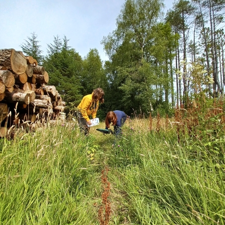 Two trainees crouched in tall grass with a bug net and an ID guide looking for insects