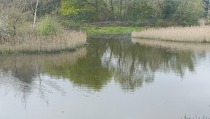 Photo of the view of the Spinnies Aberogwen lagoon from the Kingfisher Hide's windows