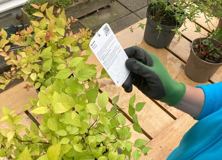 A hand holding a label for a potted plant