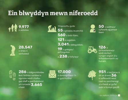 Our wild year in numbers