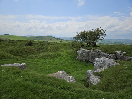 Rocky outcrop on Halkyn Common 