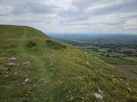 View from Moel Hiraddug with limestone grassland in the foreground 