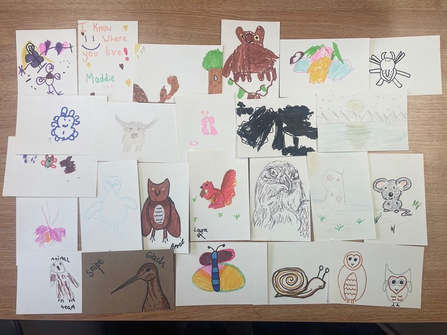 A scattered arrangement of children's drawings on a table, featuring various nature-themed illustrations such as owls, mice, snails, and flowers. The images show vibrant colors and imaginative designs created during a creative activity session.