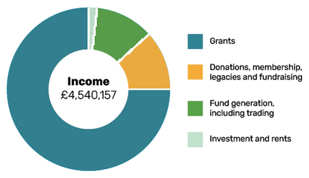 Income pie chart