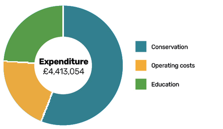 expenditure pie chart