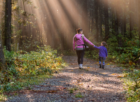 People walking in a forest