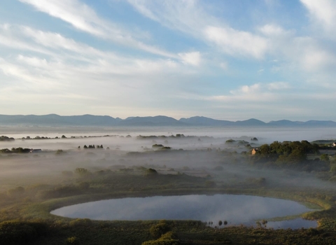 Image of Cors Goch Nature Reserve