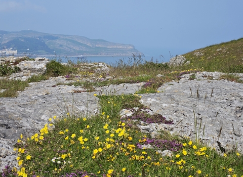 View from Little Orme Summit of the Great Orme 