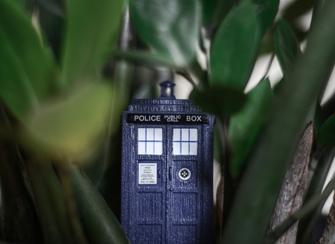 Tardis hidden in grass