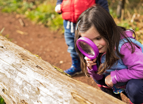 A young girl wearing pink and purple, crouching down to look through a large pink magnifying glass at a big log with moss on it. A second child is out of focus stood behind her.